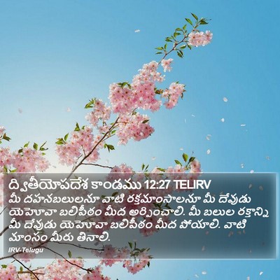 ద్వితీయోపదేశ కాండము 12:27 TELIRV Bible Verse Image