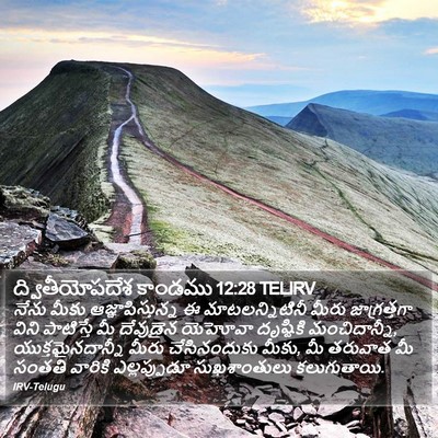ద్వితీయోపదేశ కాండము 12:28 TELIRV Bible Verse Image