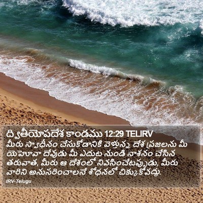 ద్వితీయోపదేశ కాండము 12:29 TELIRV Bible Verse Image
