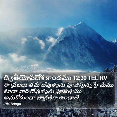 ద్వితీయోపదేశ కాండము 12:30 TELIRV Bible Verse Image