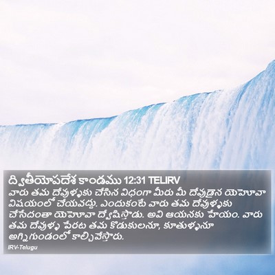 ద్వితీయోపదేశ కాండము 12:31 TELIRV Bible Verse Image