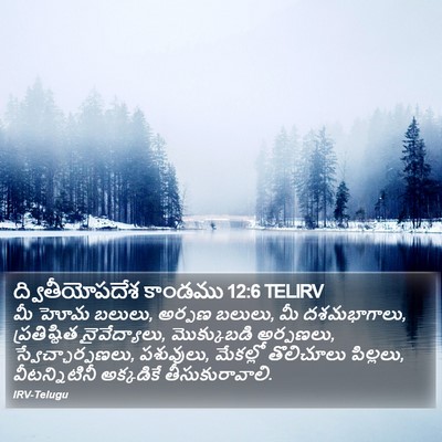 ద్వితీయోపదేశ కాండము 12:6 TELIRV Bible Verse Image