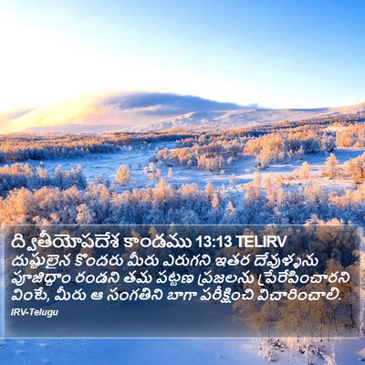 ద్వితీయోపదేశ కాండము 13:13 TELIRV Bible Verse Image