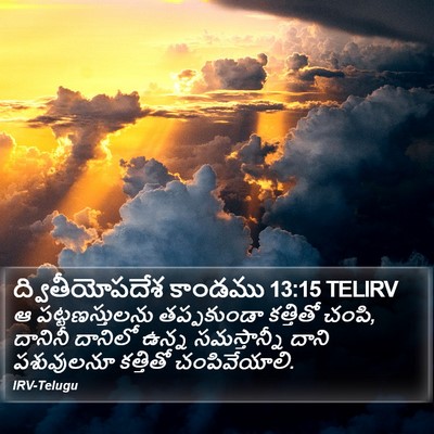 ద్వితీయోపదేశ కాండము 13:15 TELIRV Bible Verse Image