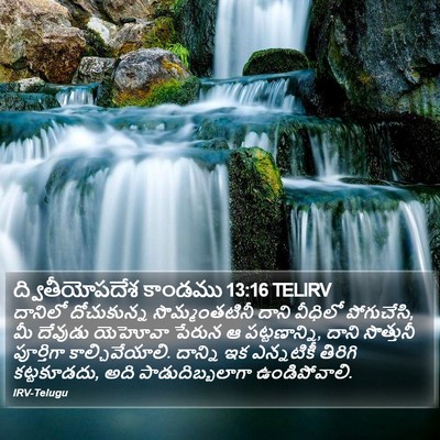 ద్వితీయోపదేశ కాండము 13:16 TELIRV Bible Verse Image