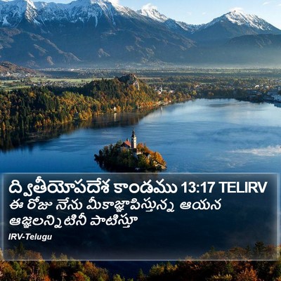 ద్వితీయోపదేశ కాండము 13:17 TELIRV Bible Verse Image