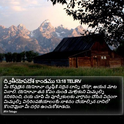 ద్వితీయోపదేశ కాండము 13:18 TELIRV Bible Verse Image