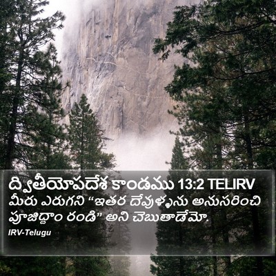 ద్వితీయోపదేశ కాండము 13:2 TELIRV Bible Verse Image