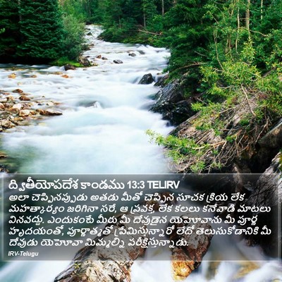 ద్వితీయోపదేశ కాండము 13:3 TELIRV Bible Verse Image