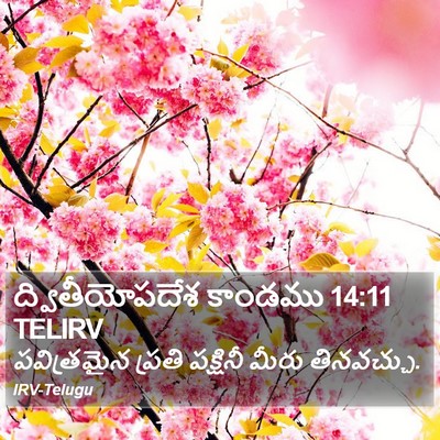 ద్వితీయోపదేశ కాండము 14:11 TELIRV Bible Verse Image