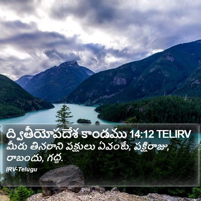 ద్వితీయోపదేశ కాండము 14:12 TELIRV Bible Verse Image