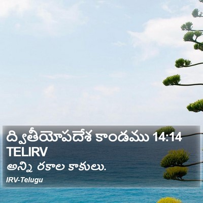 ద్వితీయోపదేశ కాండము 14:14 TELIRV Bible Verse Image