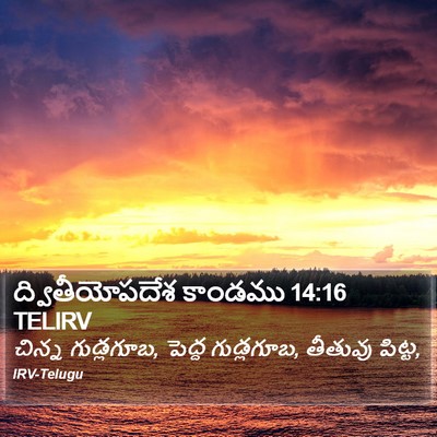 ద్వితీయోపదేశ కాండము 14:16 TELIRV Bible Verse Image