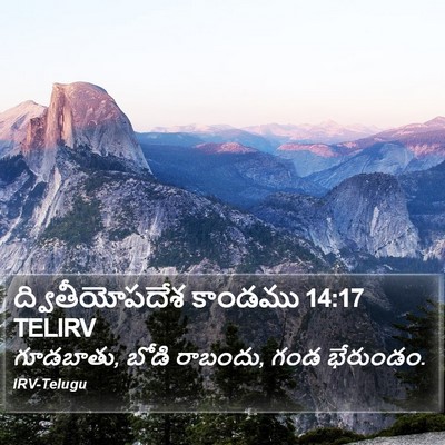 ద్వితీయోపదేశ కాండము 14:17 TELIRV Bible Verse Image