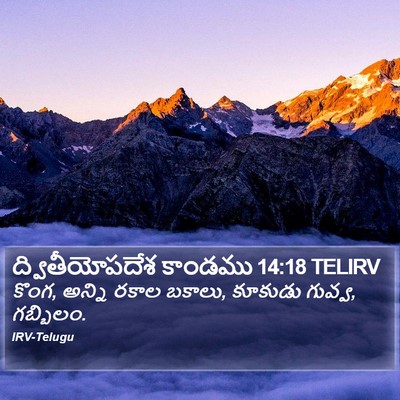 ద్వితీయోపదేశ కాండము 14:18 TELIRV Bible Verse Image