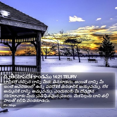 ద్వితీయోపదేశ కాండము 14:21 TELIRV Bible Verse Image