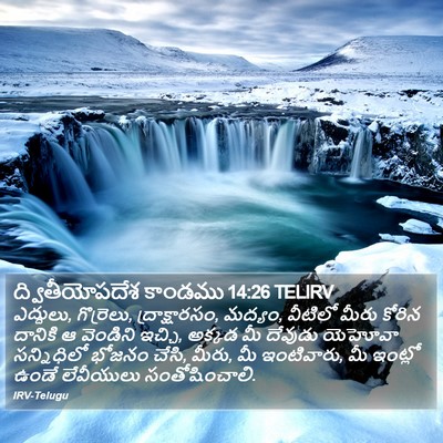 ద్వితీయోపదేశ కాండము 14:26 TELIRV Bible Verse Image
