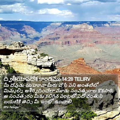 ద్వితీయోపదేశ కాండము 14:28 TELIRV Bible Verse Image