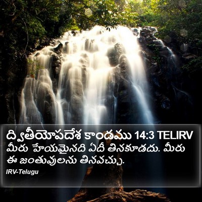 ద్వితీయోపదేశ కాండము 14:3 TELIRV Bible Verse Image