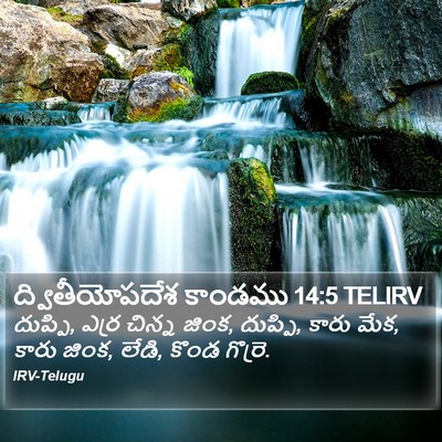 ద్వితీయోపదేశ కాండము 14:5 TELIRV Bible Verse Image