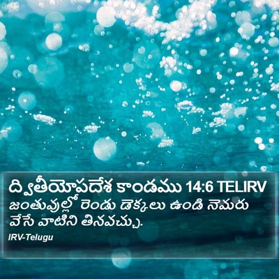 ద్వితీయోపదేశ కాండము 14:6 TELIRV Bible Verse Image