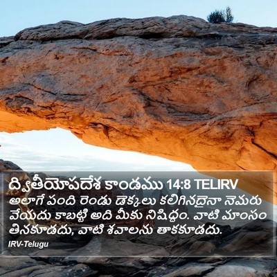 ద్వితీయోపదేశ కాండము 14:8 TELIRV Bible Verse Image