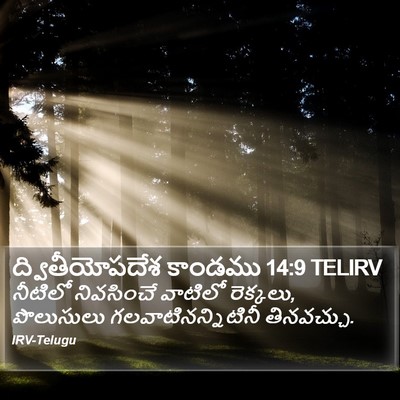 ద్వితీయోపదేశ కాండము 14:9 TELIRV Bible Verse Image