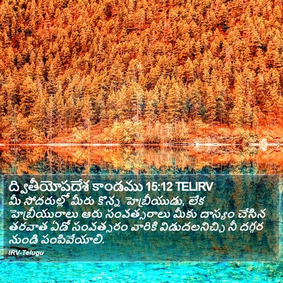 ద్వితీయోపదేశ కాండము 15:12 TELIRV Bible Verse Image