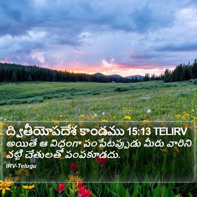 ద్వితీయోపదేశ కాండము 15:13 TELIRV Bible Verse Image
