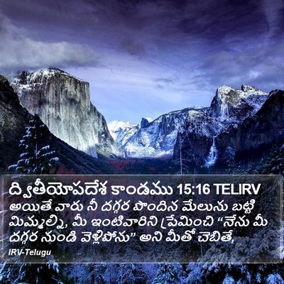 ద్వితీయోపదేశ కాండము 15:16 TELIRV Bible Verse Image