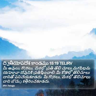 ద్వితీయోపదేశ కాండము 15:19 TELIRV Bible Verse Image
