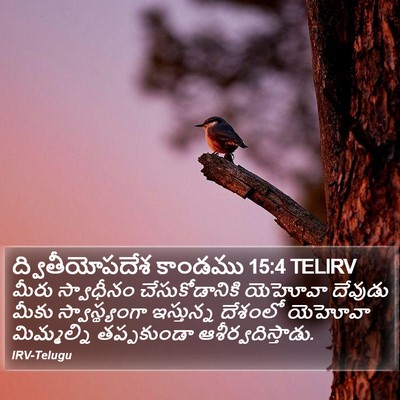 ద్వితీయోపదేశ కాండము 15:4 TELIRV Bible Verse Image