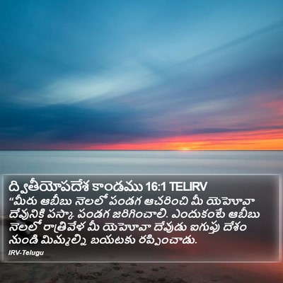 ద్వితీయోపదేశ కాండము 16:1 TELIRV Bible Verse Image