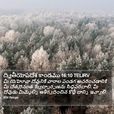 ద్వితీయోపదేశ కాండము 16:10 TELIRV Bible Verse Image