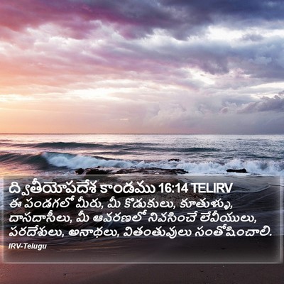 ద్వితీయోపదేశ కాండము 16:14 TELIRV Bible Verse Image