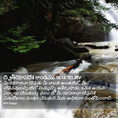ద్వితీయోపదేశ కాండము 16:15 TELIRV Bible Verse Image