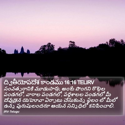 ద్వితీయోపదేశ కాండము 16:16 TELIRV Bible Verse Image