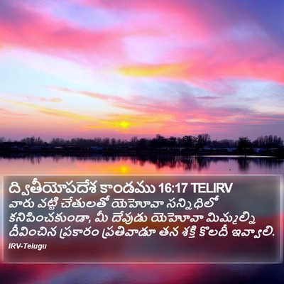 ద్వితీయోపదేశ కాండము 16:17 TELIRV Bible Verse Image