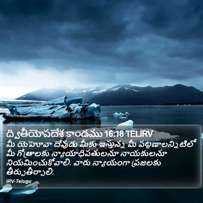 ద్వితీయోపదేశ కాండము 16:18 TELIRV Bible Verse Image
