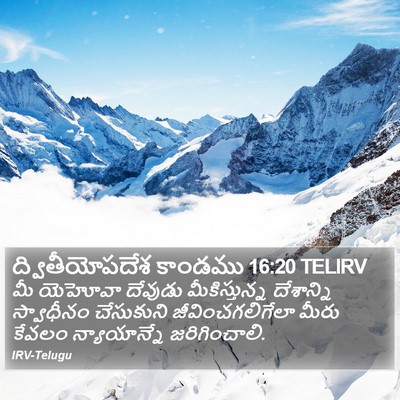 ద్వితీయోపదేశ కాండము 16:20 TELIRV Bible Verse Image