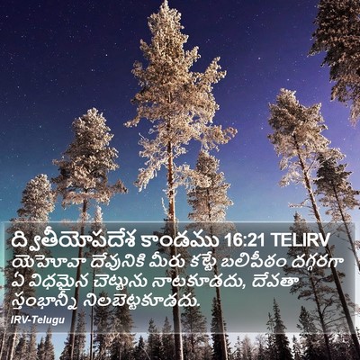 ద్వితీయోపదేశ కాండము 16:21 TELIRV Bible Verse Image