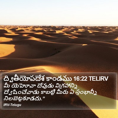 ద్వితీయోపదేశ కాండము 16:22 TELIRV Bible Verse Image