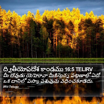 ద్వితీయోపదేశ కాండము 16:5 TELIRV Bible Verse Image