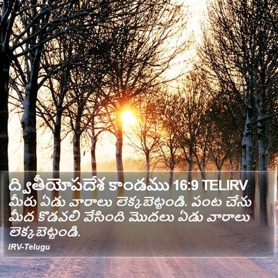 ద్వితీయోపదేశ కాండము 16:9 TELIRV Bible Verse Image