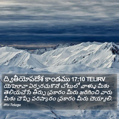 ద్వితీయోపదేశ కాండము 17:10 TELIRV Bible Verse Image