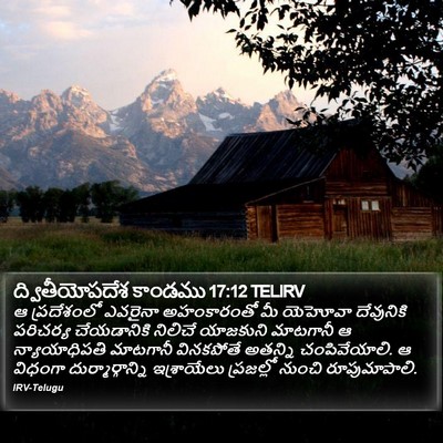 ద్వితీయోపదేశ కాండము 17:12 TELIRV Bible Verse Image