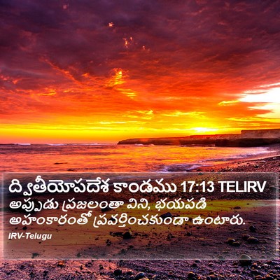 ద్వితీయోపదేశ కాండము 17:13 TELIRV Bible Verse Image