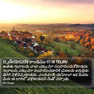 ద్వితీయోపదేశ కాండము 17:16 TELIRV Bible Verse Image