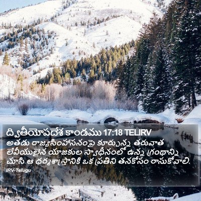 ద్వితీయోపదేశ కాండము 17:18 TELIRV Bible Verse Image