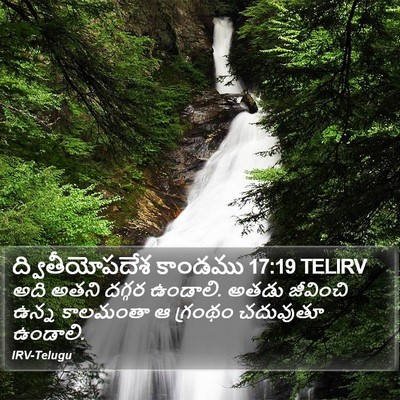 ద్వితీయోపదేశ కాండము 17:19 TELIRV Bible Verse Image
